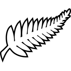 Nya Zeeland — Landslag